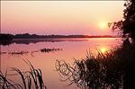 Zambezi River at dusk